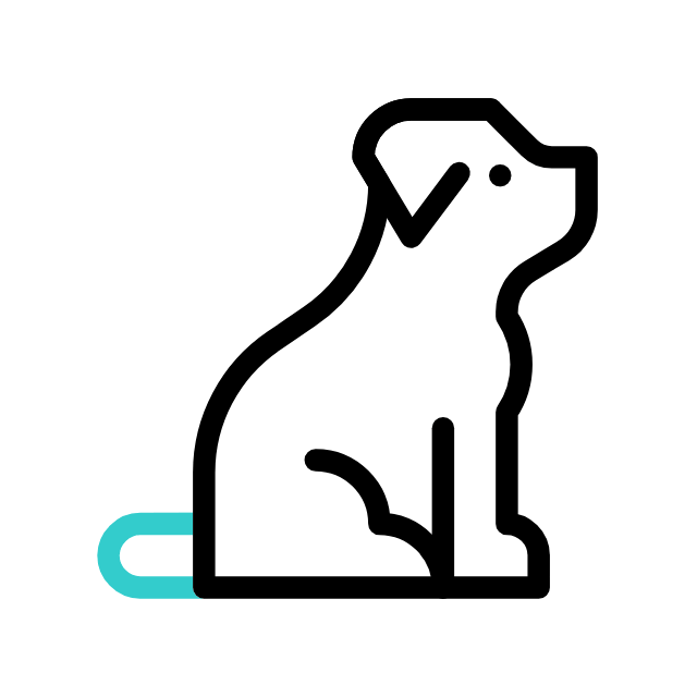 Cachorros